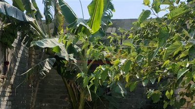 رحيم.. طفل يروي للعالم أهمية قطرة المياه