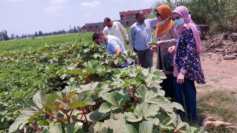 جانب من إحدى المدارس