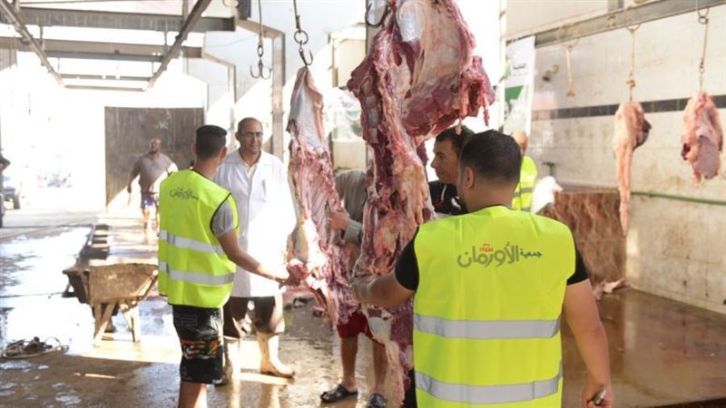 توزيع لحوم بقرى بالبحيرة