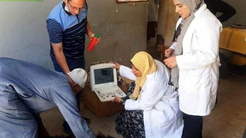 إجراء المسح التناسلي