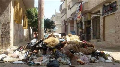خاص| كفر الشيخ تتصدى لإلقاء مخلفات الذبح بالطرق والشوارع العامة