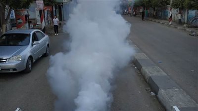 تكثيف أعمال مكافحة الذباب والبعوض والحشرات الطائرة بالبحيرة