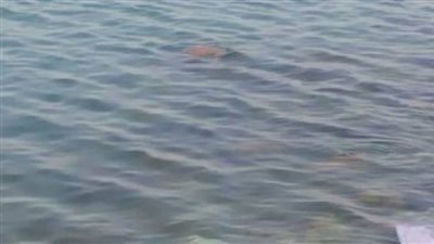 انتشال جثة طفل غريق مجهول الهوية بترعة الإسماعيلية بالخانكة