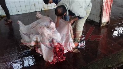 عوض يشرح ألية أعمال المجازر في أيام العيد