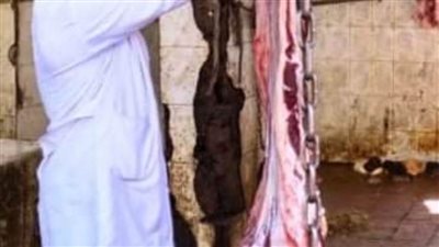 ذبح 1759 رأس ماشية وأغنام أضحية  بمجازر الشرقية 