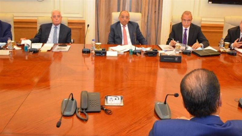 التنمية المحلية