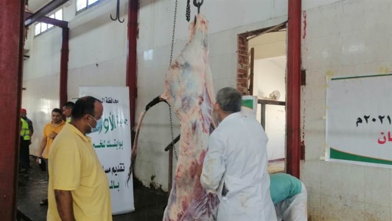 ذبح عجول وتوزيعها