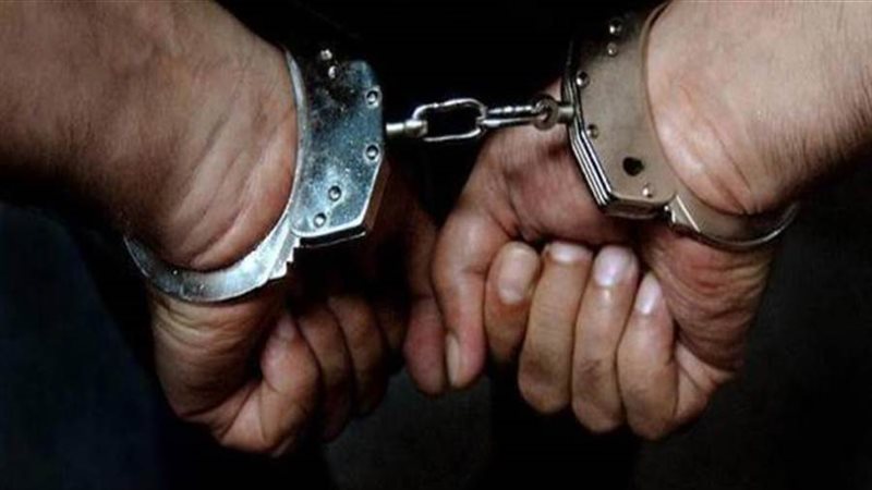 عناصر إجرامية