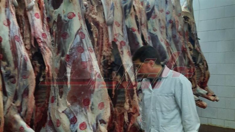 مجازر القليوبية