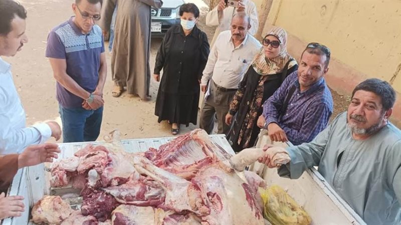 حملة تموينية مكبرة