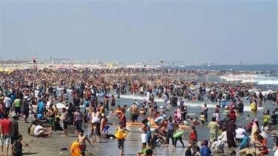 رئيس جمصة: 5 ملايين زائر خلال عيد الأضحى والإشغال 100%