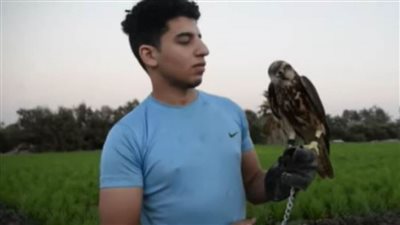 شاهد.. عمر خالد شاب يستغل وقت فراغه في تربية الصقور والأسود