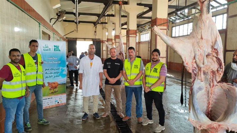 ذبح 173 رأس عجل و