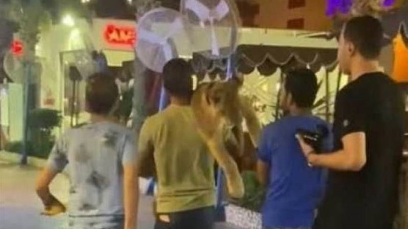 بوابة روز اليوسف