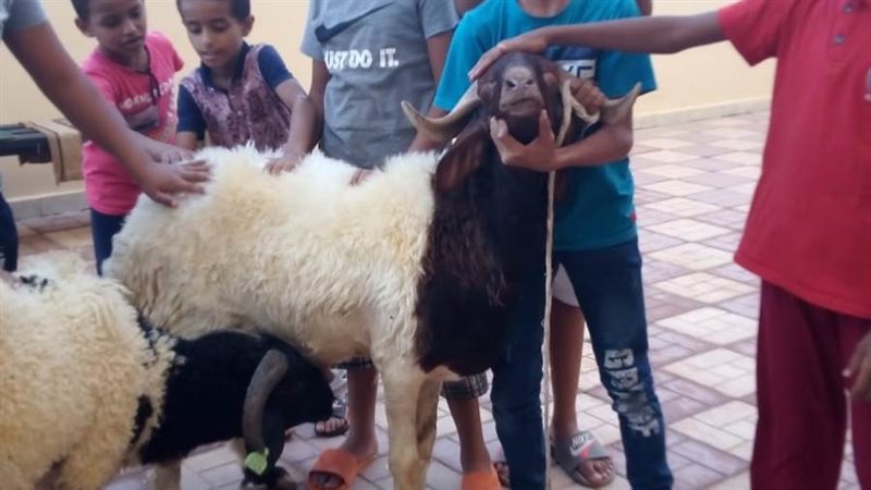 اطفال دار المدينة