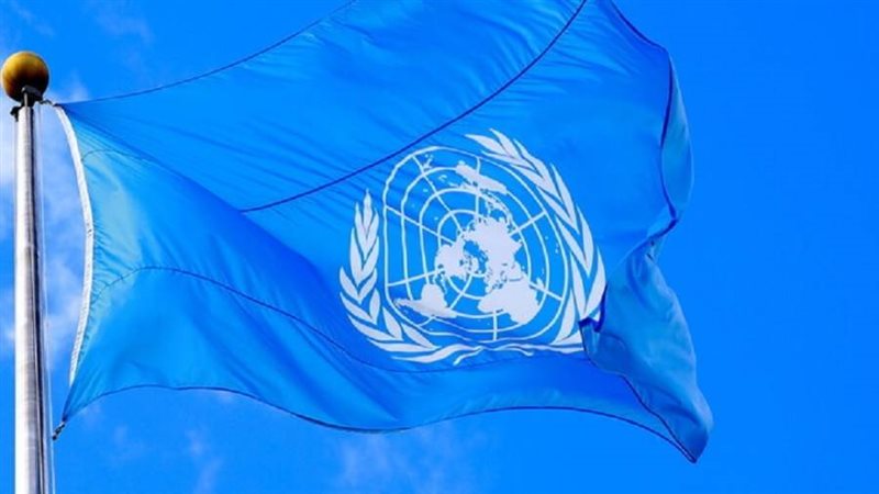 مفوضة حقوق الإنسان