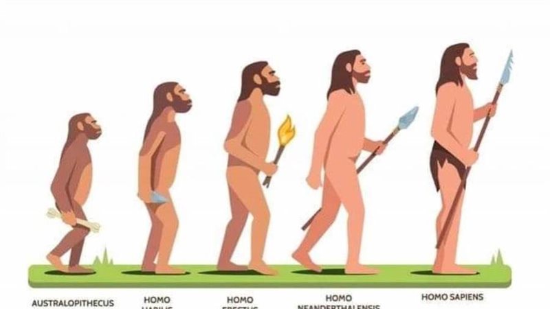 الإنسان عبر الزمن