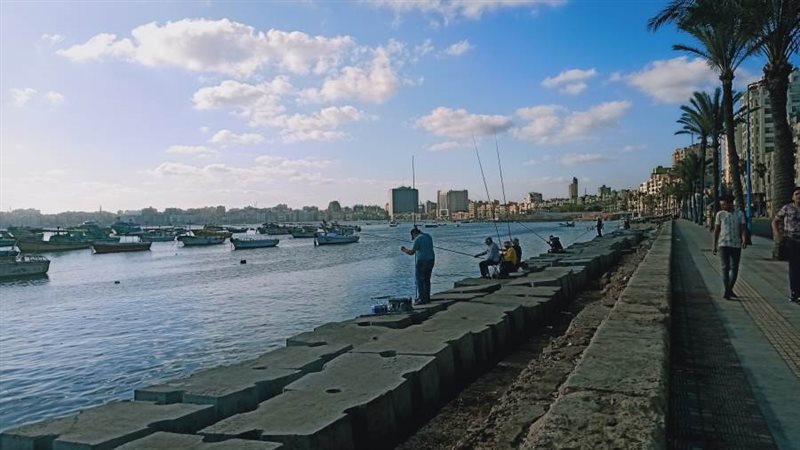 الاسكندريه تحتفل