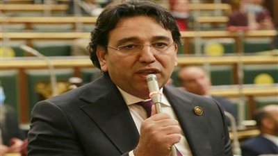 برلمانى يطالب بالقضاء على مافيا الحيازات الوهمية لوصول الدعم لمستحقيه 