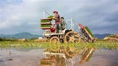 إنشاء كلية مشتركة للفنون المتخصصة بين الصين وإيطاليا