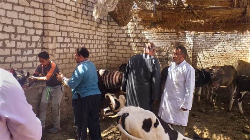 أثناء حملة تحصين