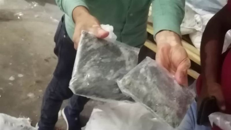 جانب من المضبوطات