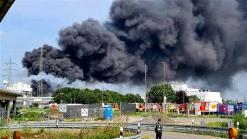 بوابة روز اليوسف