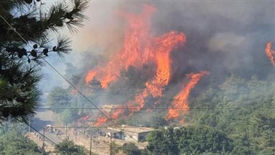 لبنان يطلب مساعدة من قبرص لإرسال طائرات متخصصة في إخماد حرائق عكار