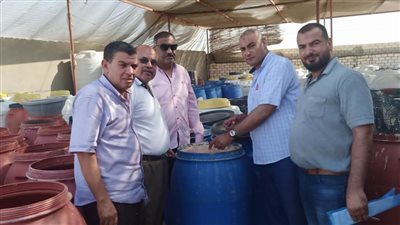 ضبط ٣٤ طن مخللات غير صالحة للاستهلاك الآدمى بالبحيرة