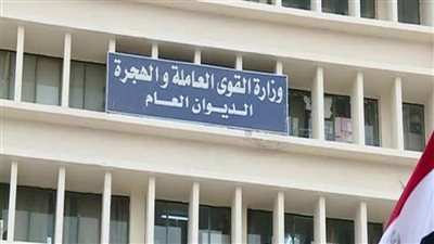 القوى العاملة: تسليم 1958 وثيقة تأمين للصيادين في الإسكندرية