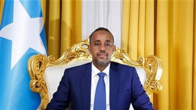رئيس وزراء الصومال يبحث مع وزير خارجية بريطانيا دعم مشروعات التنمية