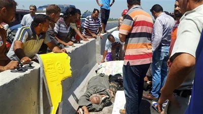 مصرع ٣ أشخاص في حادث تصادم بالدقهلية