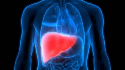 دراسة أمريكية: العلاج بموجات الراديو آمن لمرضى سرطان الكبد