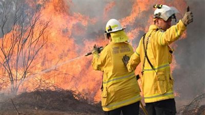 رجال الإطفاء اليونانيون يكثفون جهودهم لاحتواء حرائق الغابات