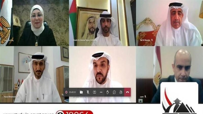 اللقاء الإفتراضي