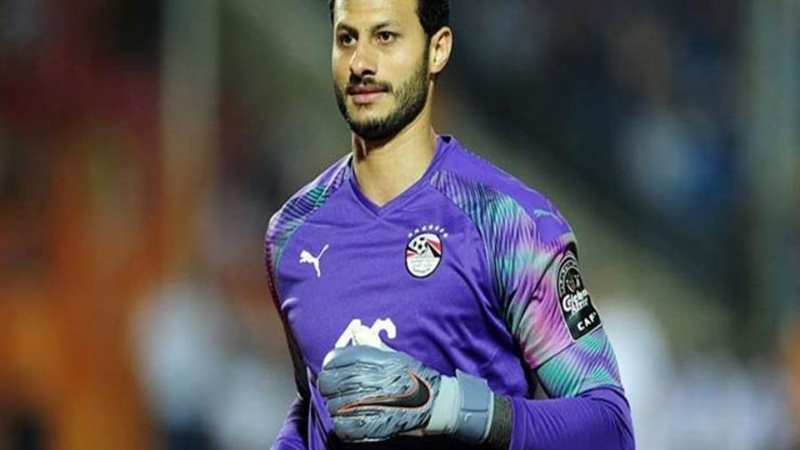 محمد الشناوي