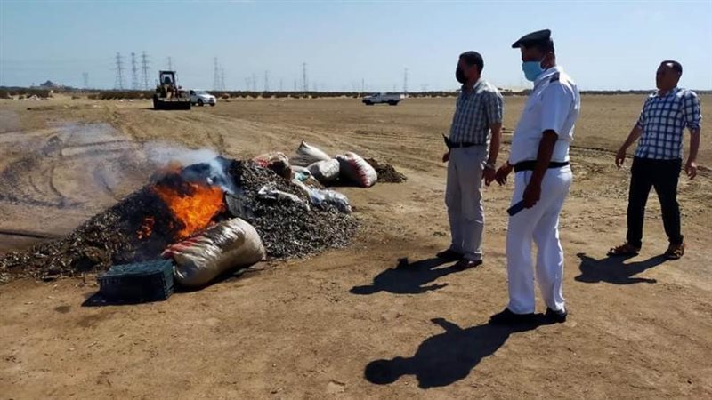 مناشر الأسماك النافقة