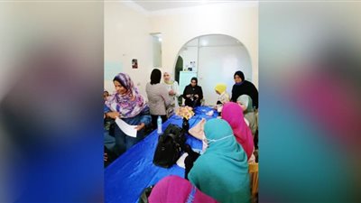 المرأة للإرشاد: تدريب 20 سيدة على مهارات الترشح للمجالس المحلية