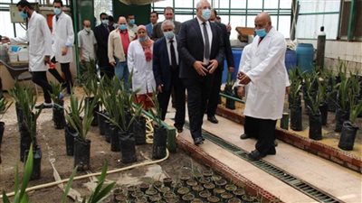 وزير الزراعة يتفقد المعمل المركزي لأبحاث وتطوير النخيل