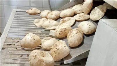 تحرير 69 جنحة تموينية بمحافظة سوهاج