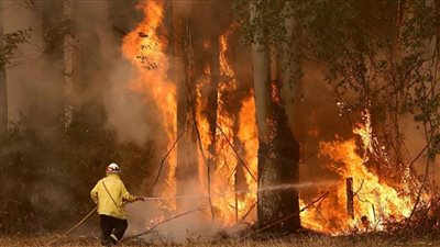 السلطات اليونانية تخلي قرية غرب بيلوبونيز