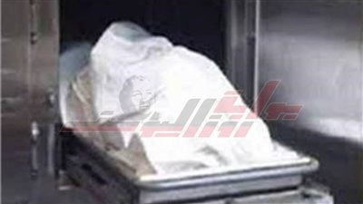 انتحار مسن بكفر الشيخ لمروره بحالة نفسية سيئة