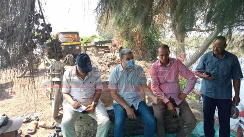 زراعة كفرالشيخ