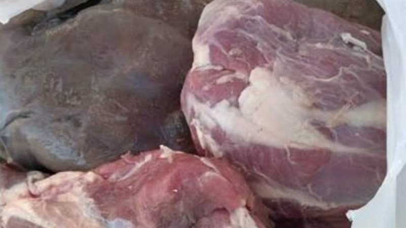 الدكتور أيمن مختار