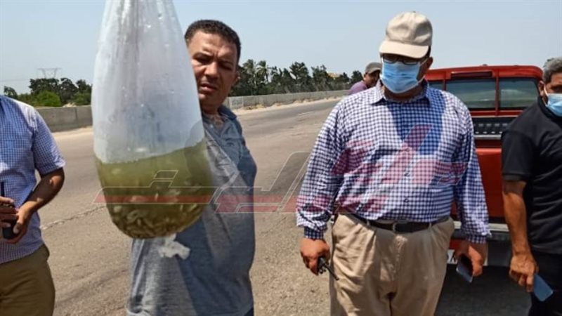 ضبط الزريعة