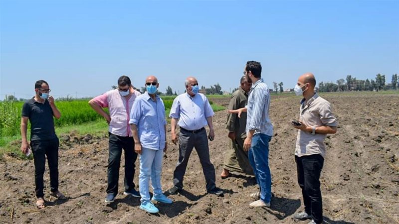 وكيل صحة الشرقية