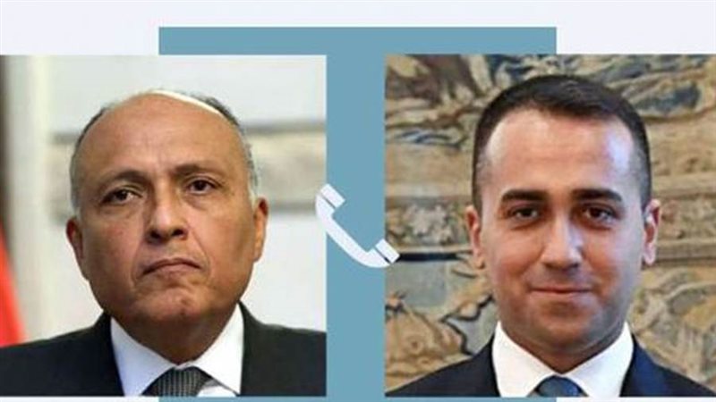 شكرى ونظيره الإيطالي