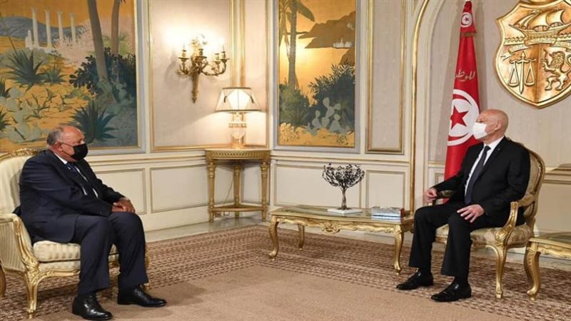 وزير الخارجية سامح