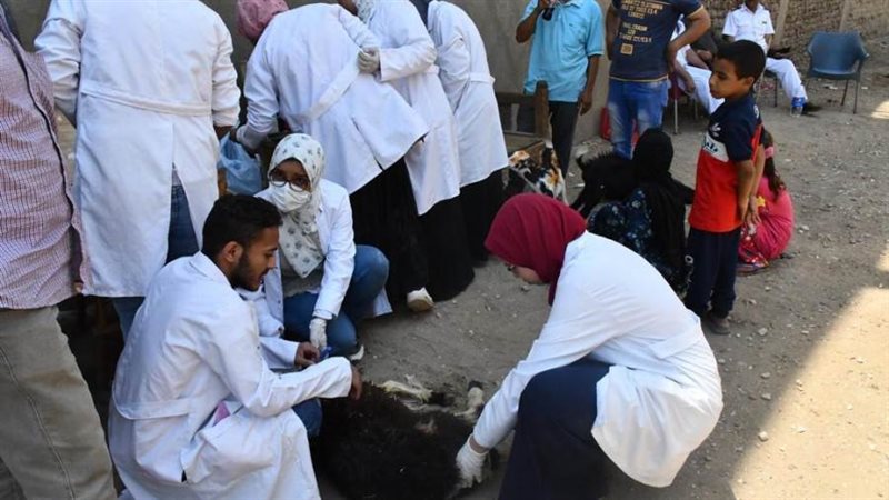 قافلة بيطرية مجانية