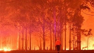 السلطات اليونانية: اندلاع حريقان جديدان في منطقة فوكيدا وشبه جزيرة ماني